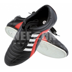 Taekwondo Shoes